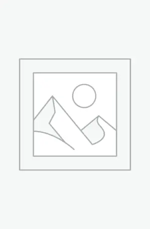 プレースホルダー